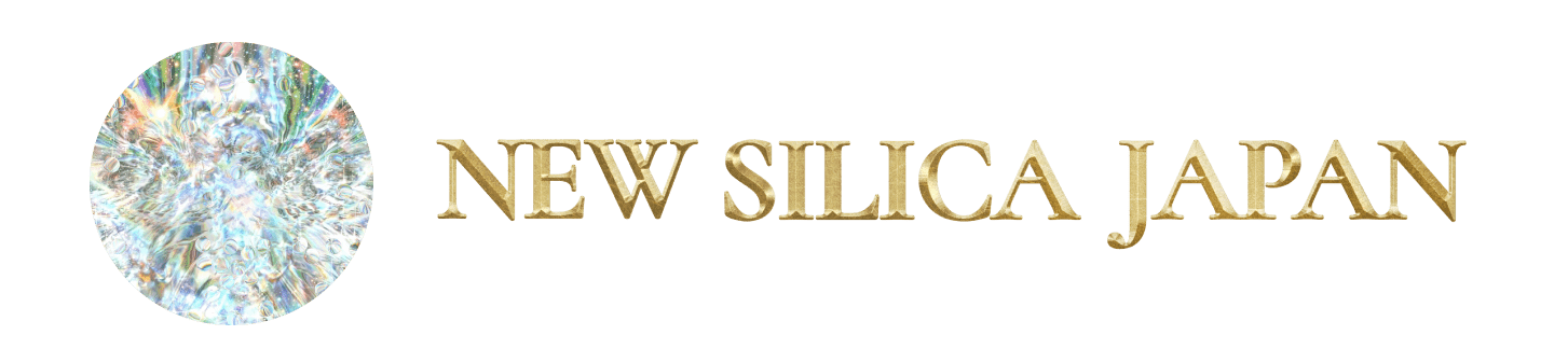 株式会社ニューシリカジャパン